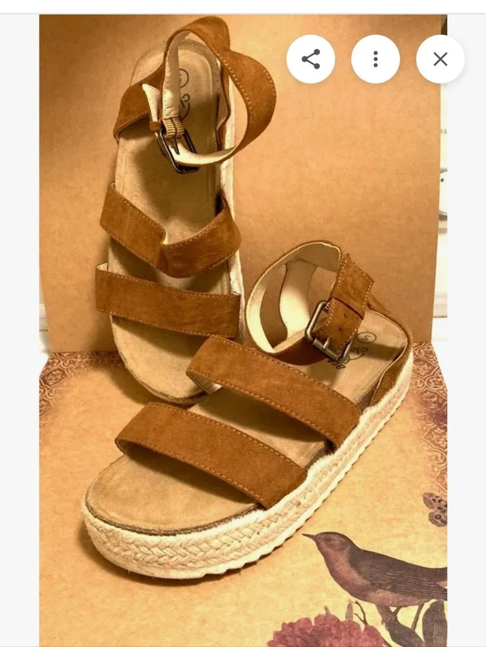 art class suede ankle